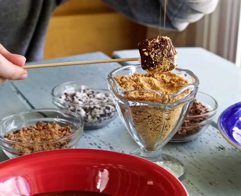 Easy Marshmallow Pops