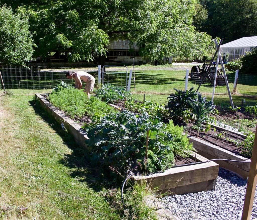 Garden 2015