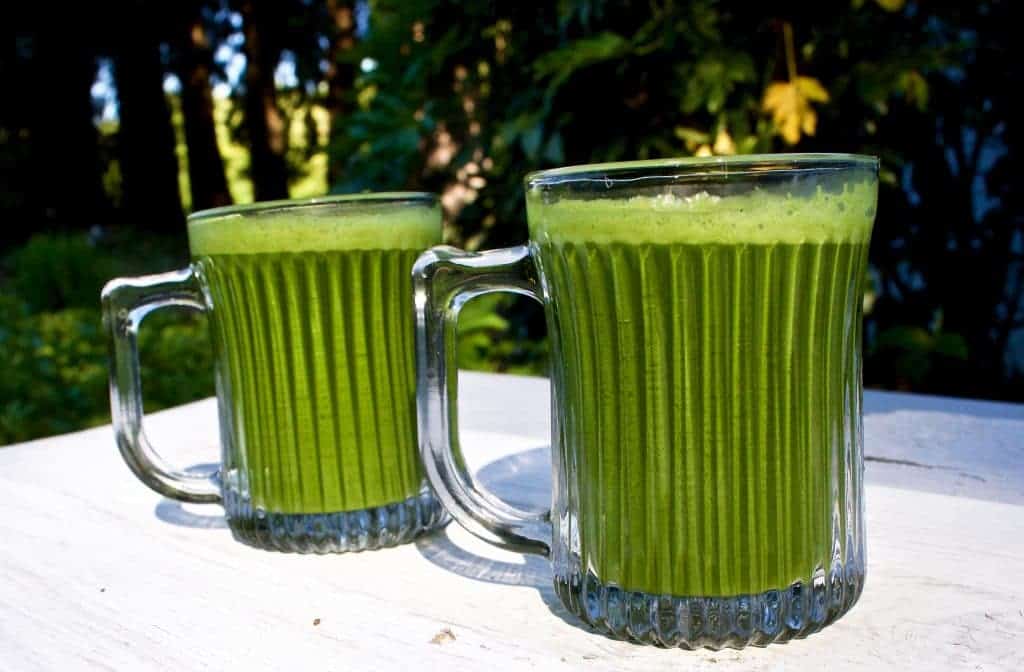 Fresh kale and carrots Green Juice