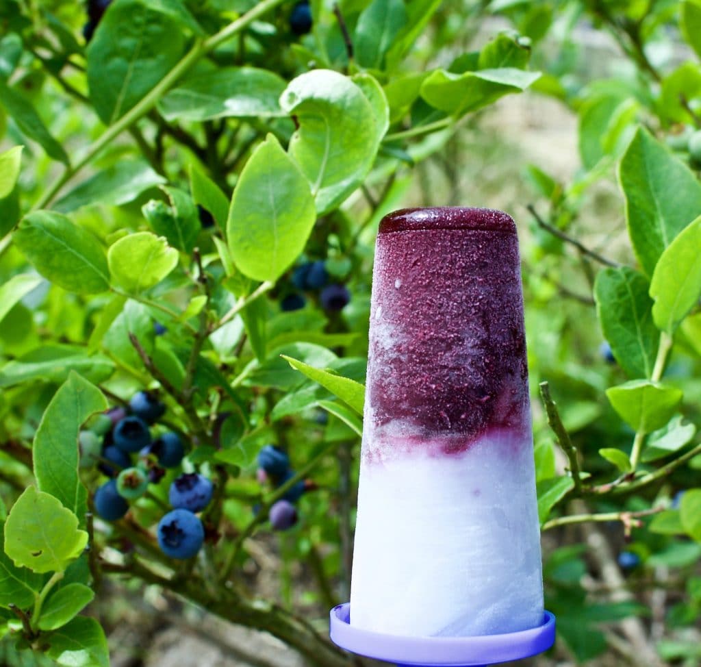 Blueberry Coconut Lime Pops