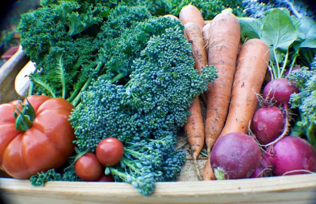 garden vegetables June 2015