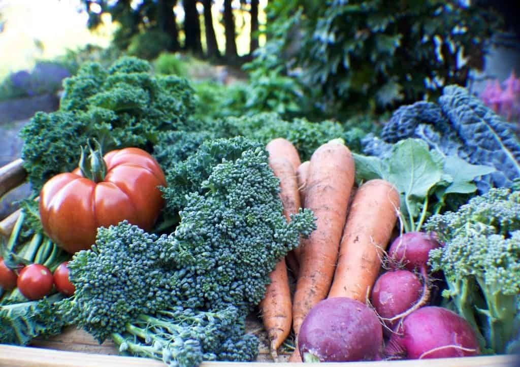 garden produce for juicing