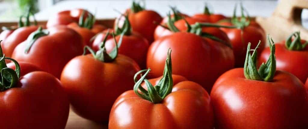 HomeGrown Organic tomatoes