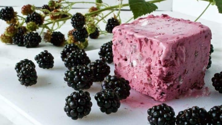 Blackberry Cheesecake Ice Cream