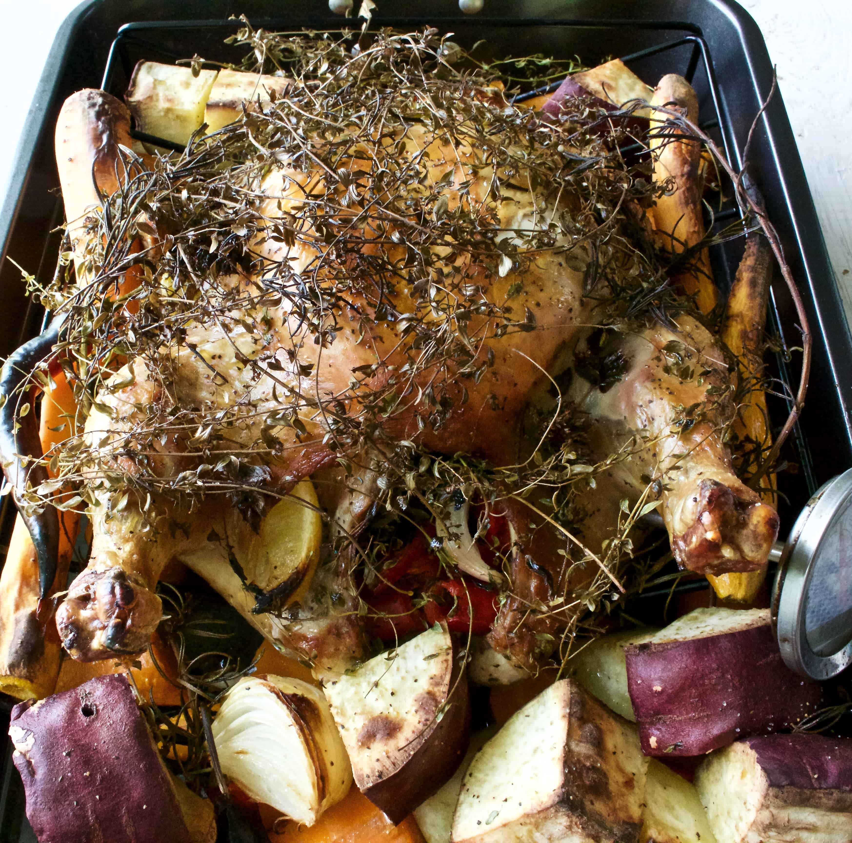 Roasted Herbed Chicken Dinner
