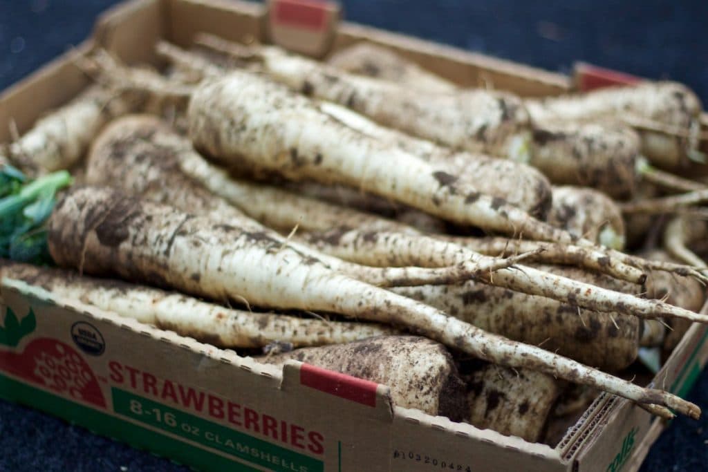 Parsnips