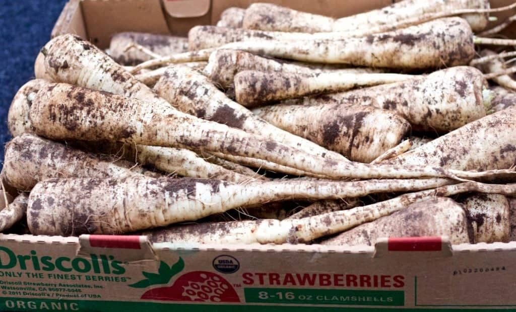Parsnips