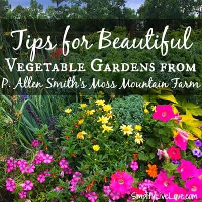 Grow Healthy Leeks easily in your Garden 6 18951465 10212188378572203 2828129255789752023 n