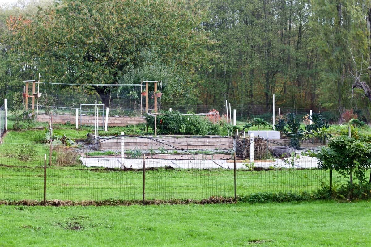 Garden in October