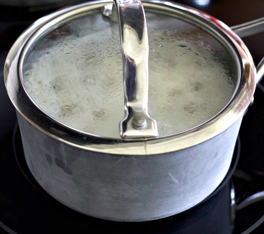 put on the lid and simmer