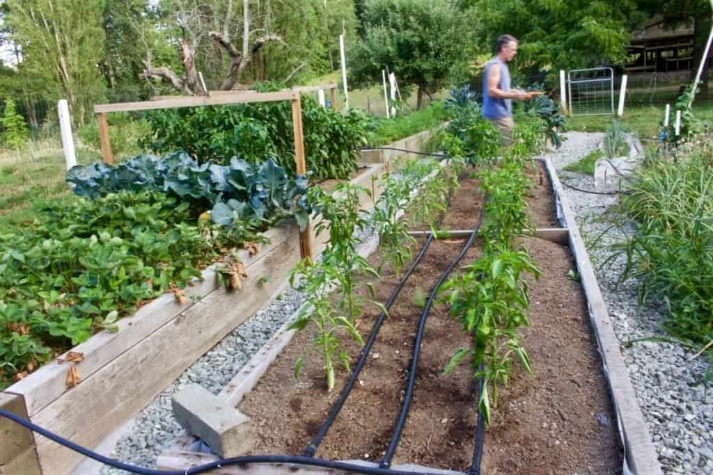 Garden plot Location considerations