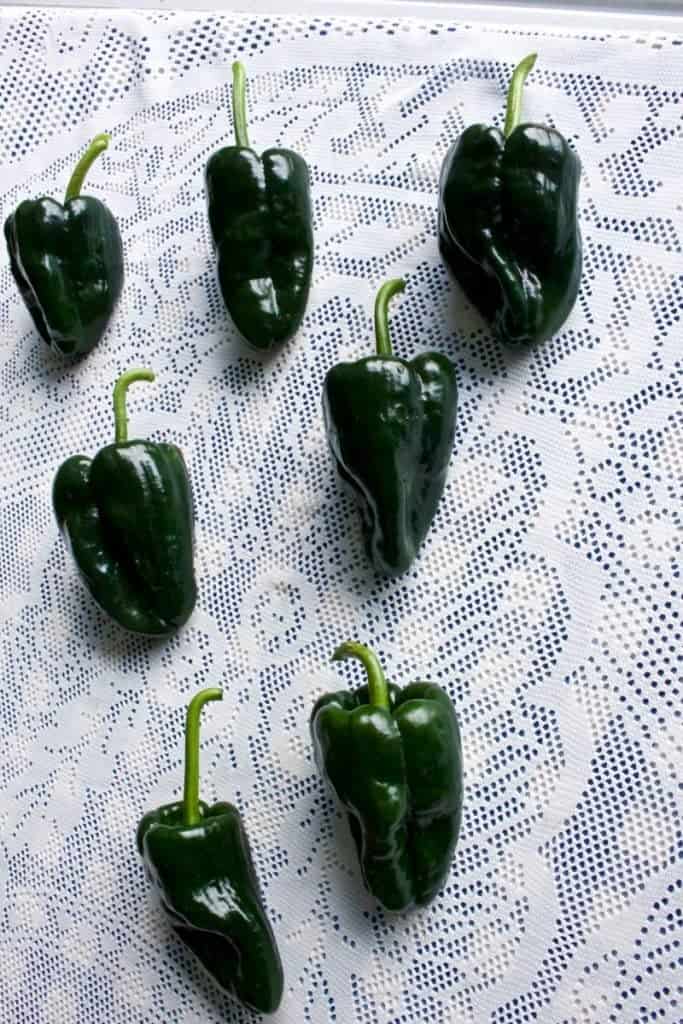 Tiburon peppers from our garden pepper crop 2015