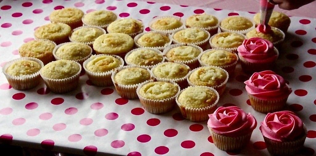 Princess Cupcake dress