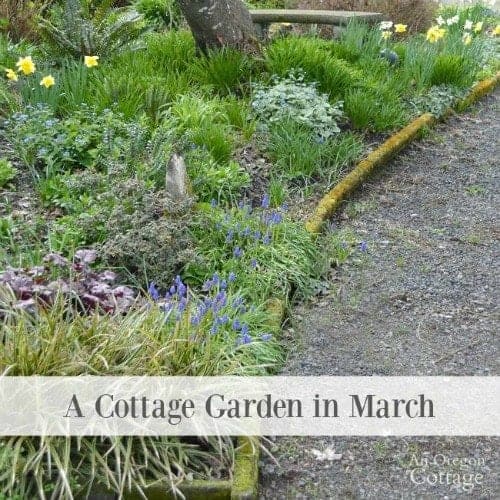 Spring Garden Prep! 9 Tuesday in the Garden