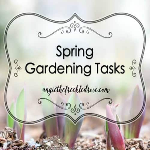 Spring Garden Prep! 11 Tuesday in the Garden