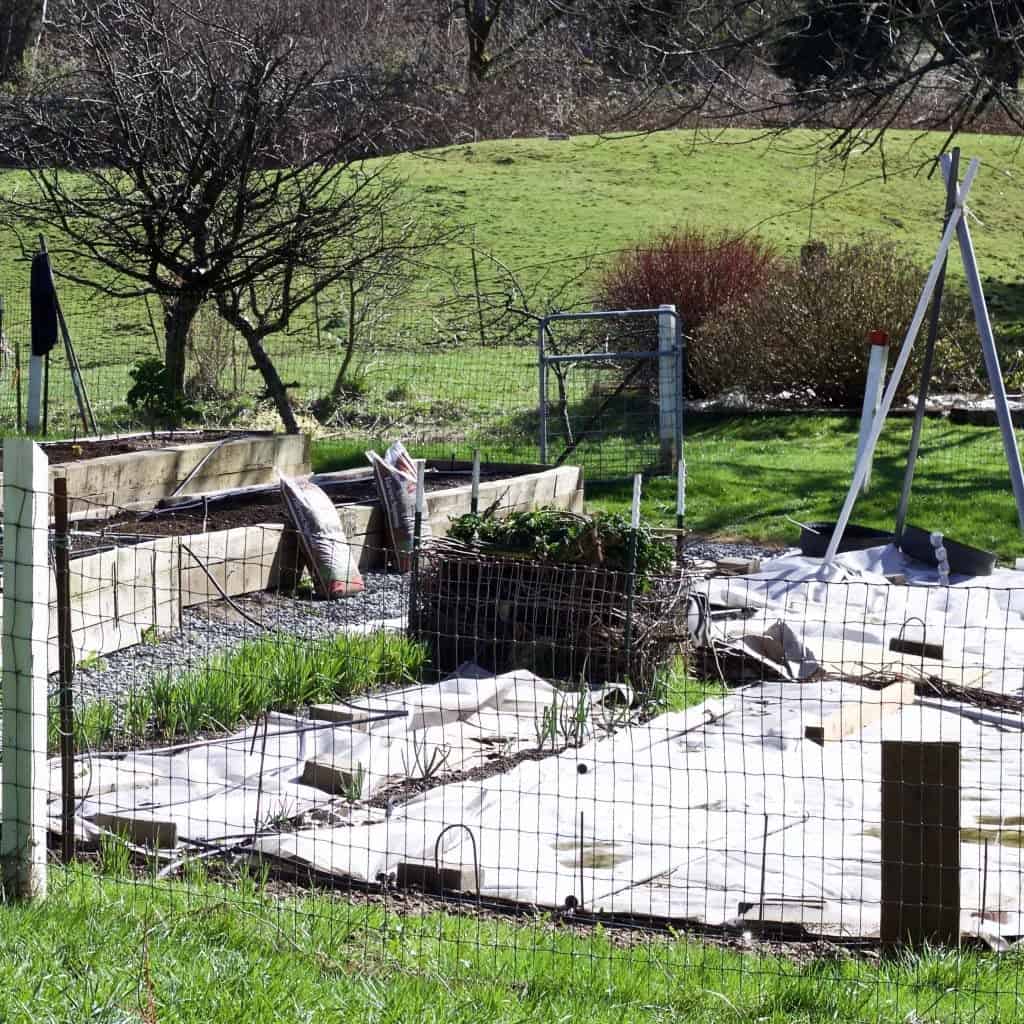 Spring Garden Prep! 2 This is our garden in March 2016. Dave is getting the Spring Garden Prep done!