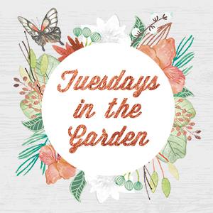 Tuesdays In the Garden Blog Hop