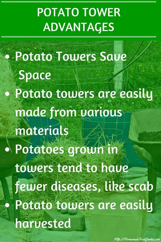 Easy DIY potato Towers have several Advantages over hilling a row of spuds in your garden. https://homemadefoodjunkie.1wp.site
