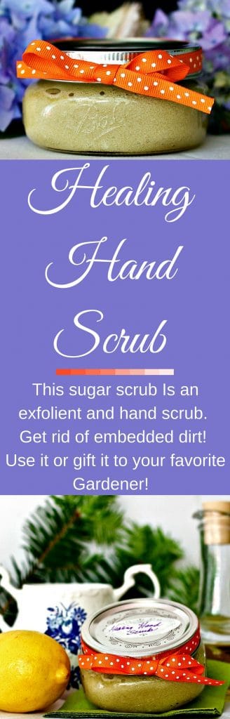 HEALING HAND SCRUB is an easy to make, cost-effective, sugar scrub. This DIY recipe scrubs deep, embedded dirt out of your skin. Your hands will also feel massaged and moisturized. This sugar scrub has antibiotic and healing properties. Why not make it a gift to your favorite gardener?