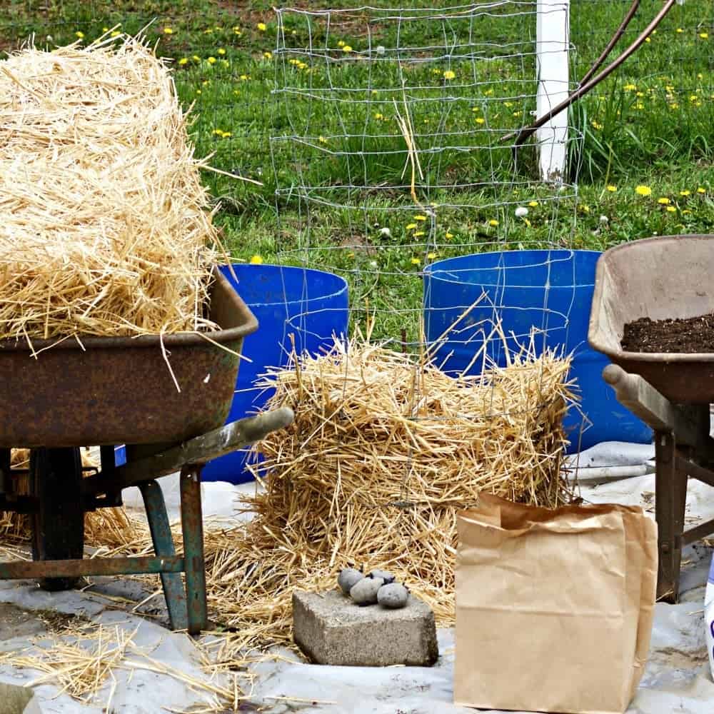 EASY DIY POTATO TOWERS- wire frame or 1/2 barrels!