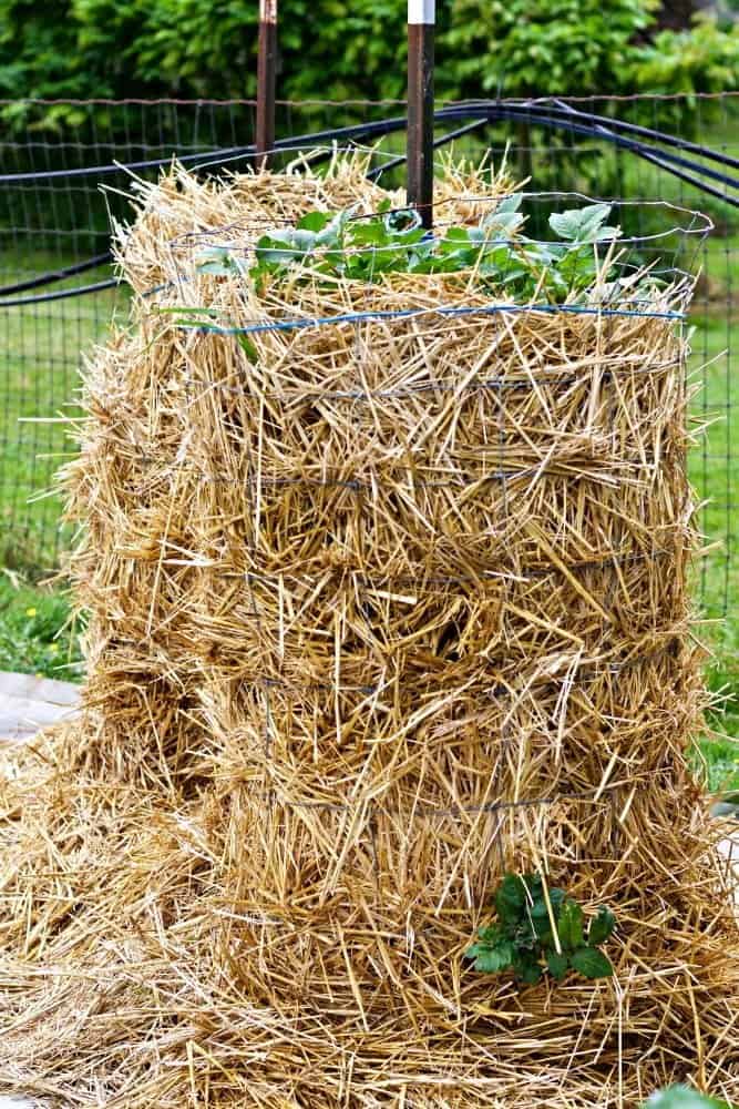Easy DIY Potato Tower-wire