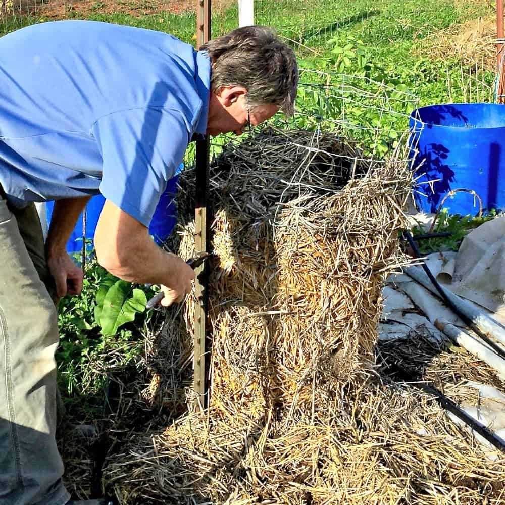 Easy DIY Wire Potato Towers