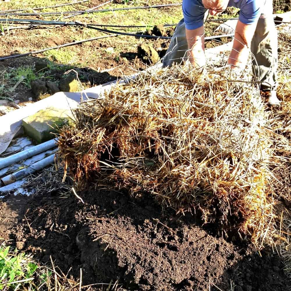 Easy DIY Wire Potato Towers