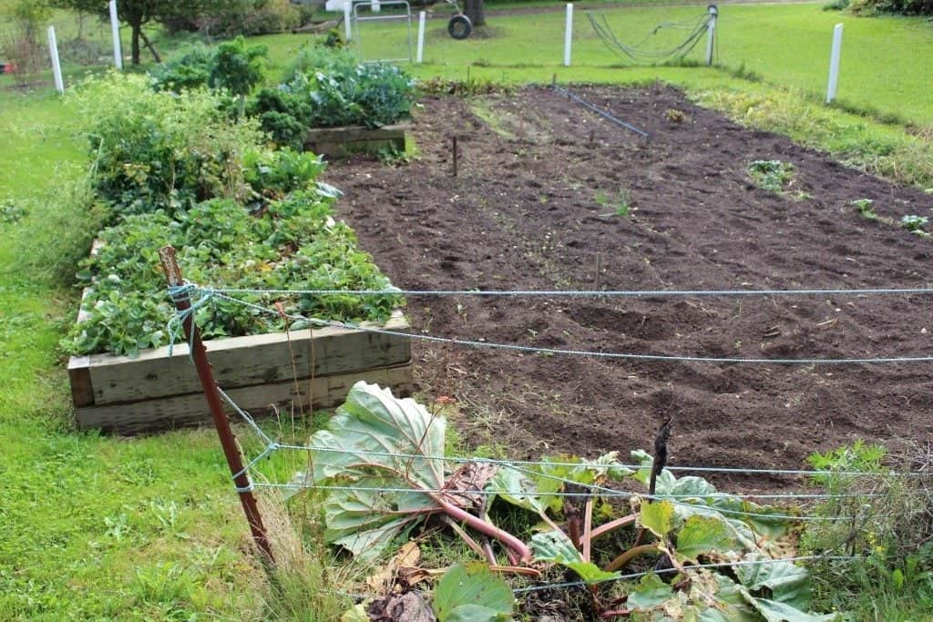 Our garden in 2014