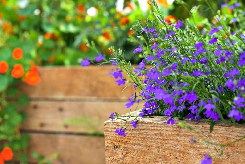 2016 Garden Tour