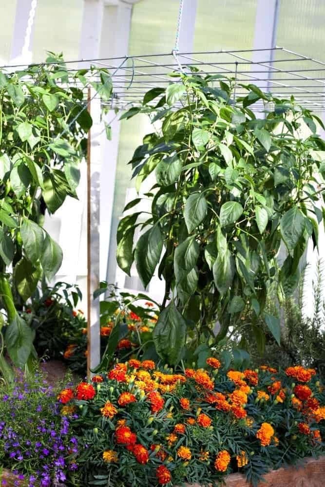2016 Garden Tour
