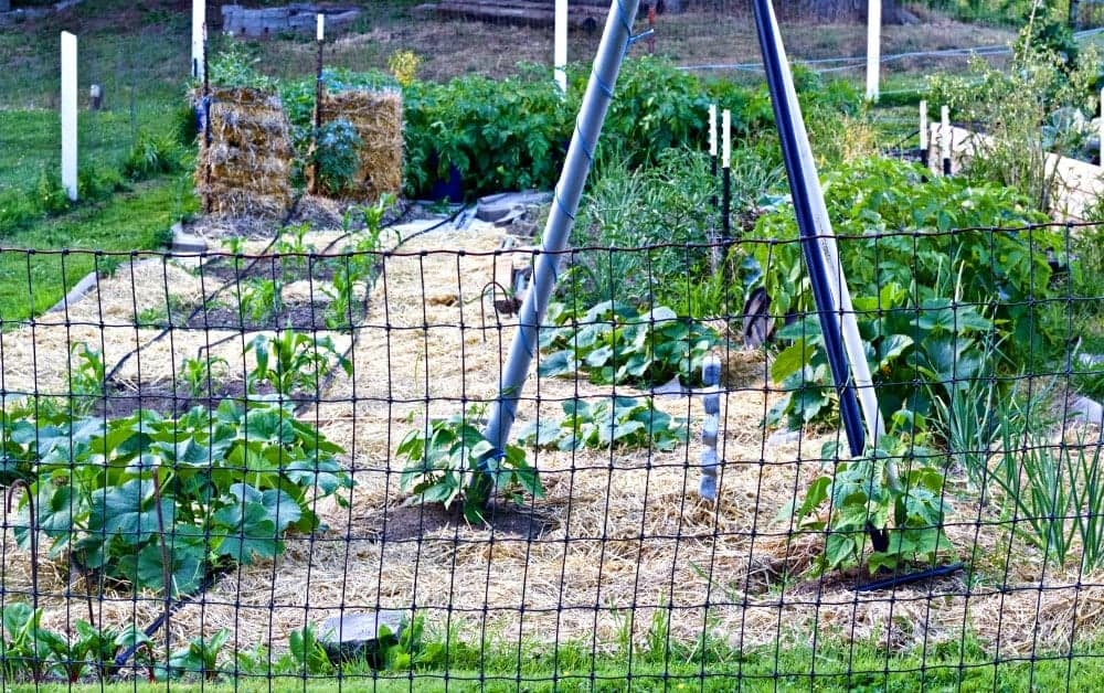 2016 Summer Garden tour