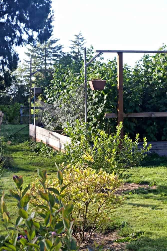 2016 Summer Garden tour