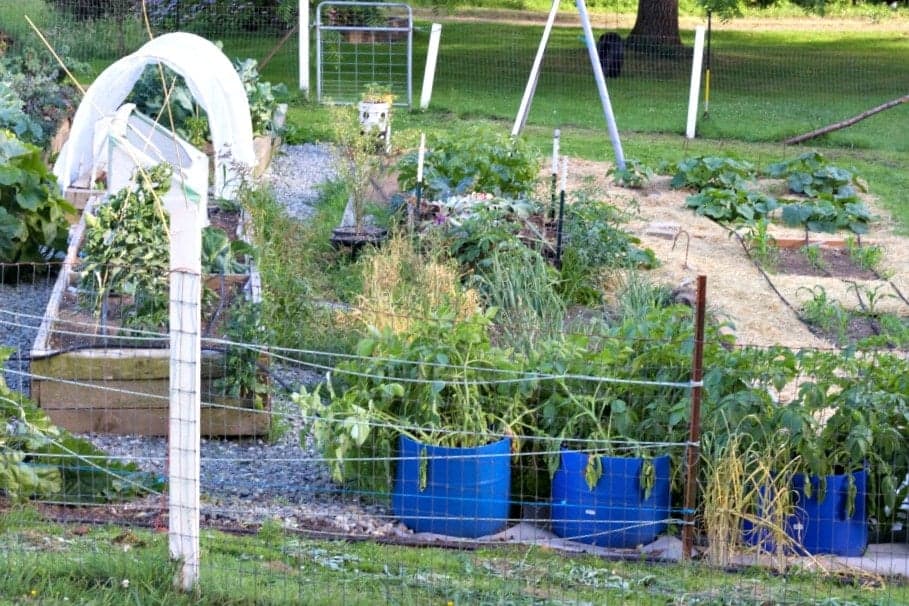 2016 Summer Garden tour