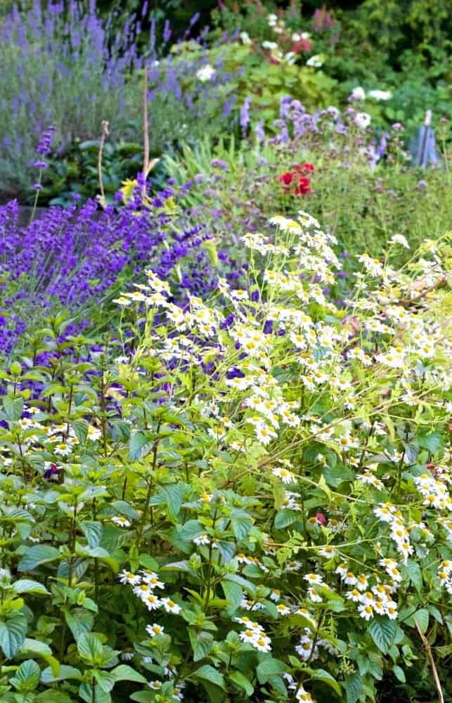 2016 Summer Garden Tour