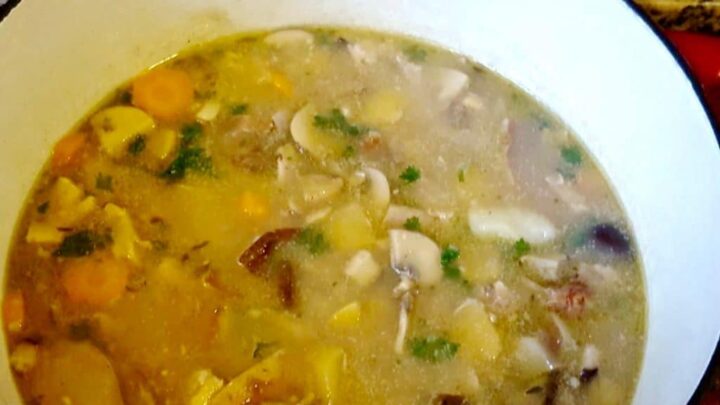 Rabbit Mushroom Stew