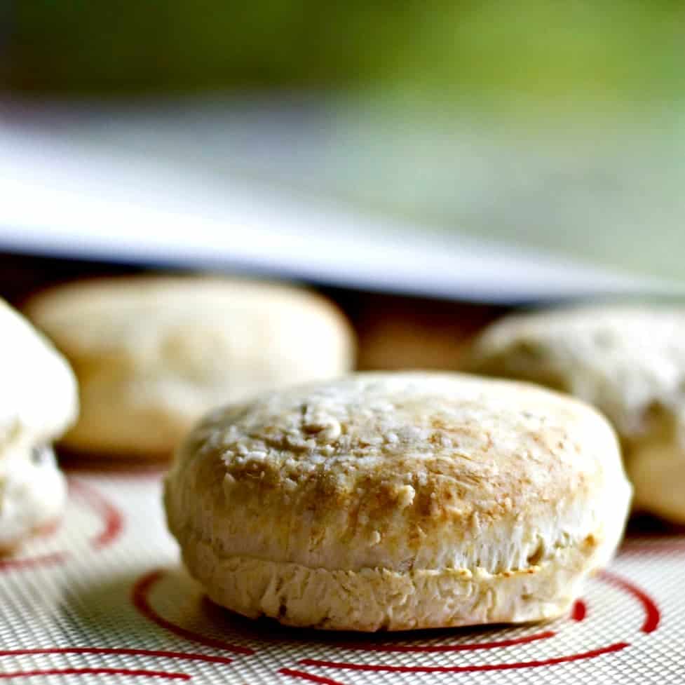 Quick N Easy Baking Powder biscuits