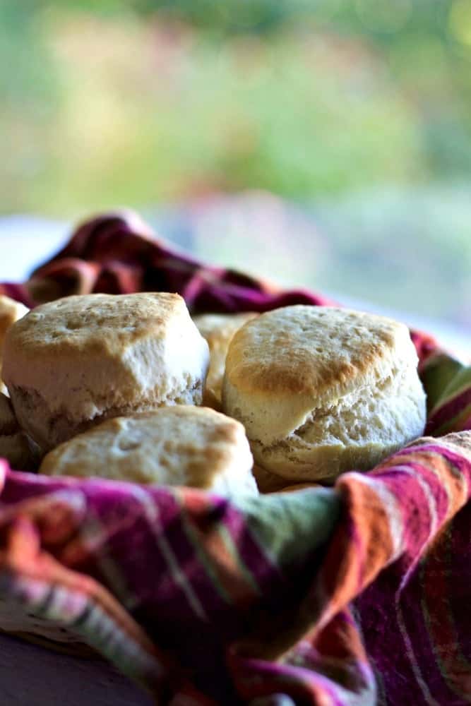 Quick N Easy Baking Powder biscuits
