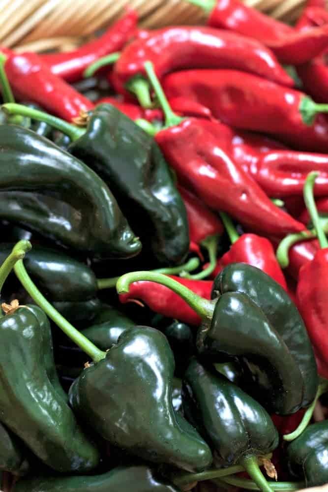 Homemade Enchilada sauce is made with fresh garden peppers with a heat factor of two. 