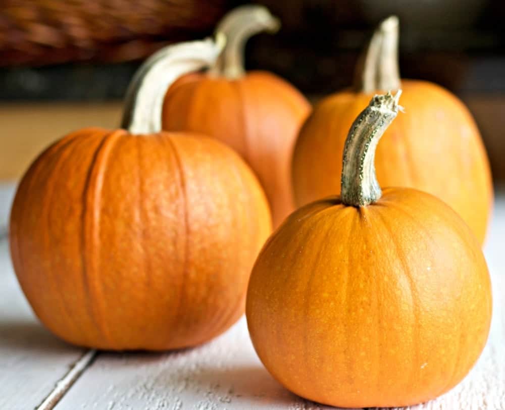How to make roasted pumpkin puree