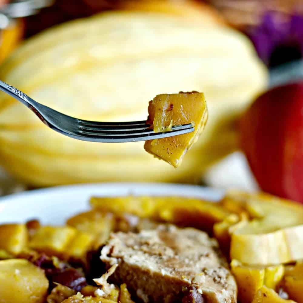 Slow Cooker Pork Apple Squash Dinner 