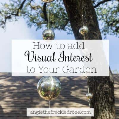 Visual interest in the garden