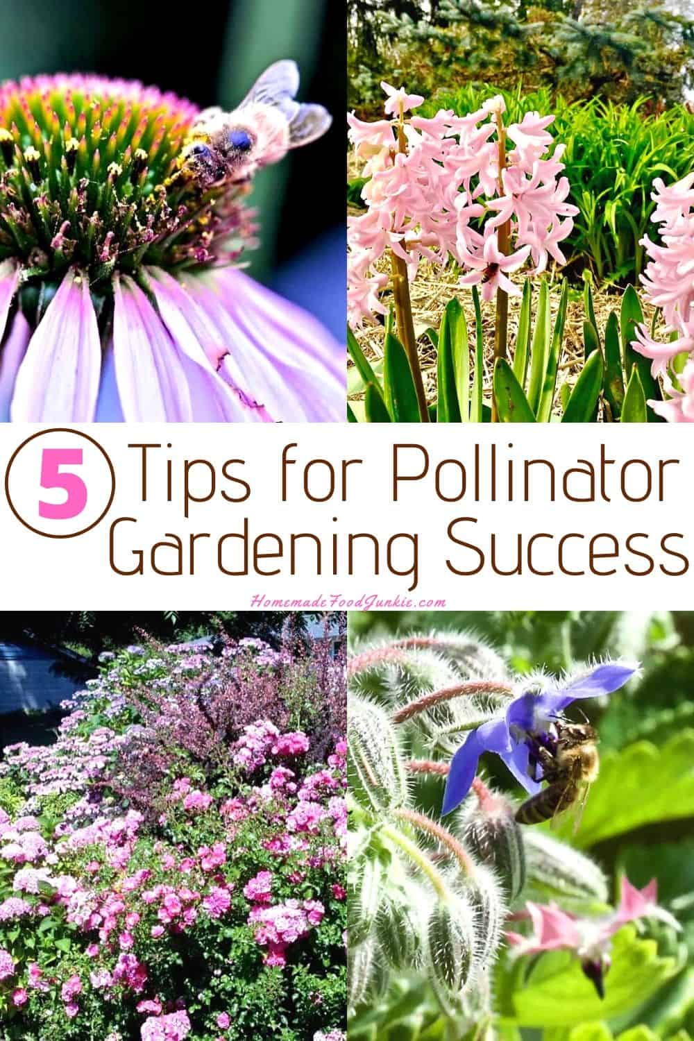 Tips for Pollinator Gardening Success-pin image