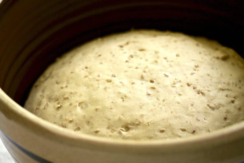 Irish Oat Bread-First rise