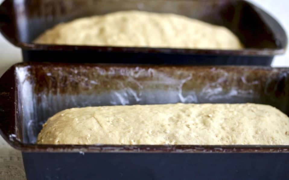 Irish Oat Bread-Loves formed and ready for second rise