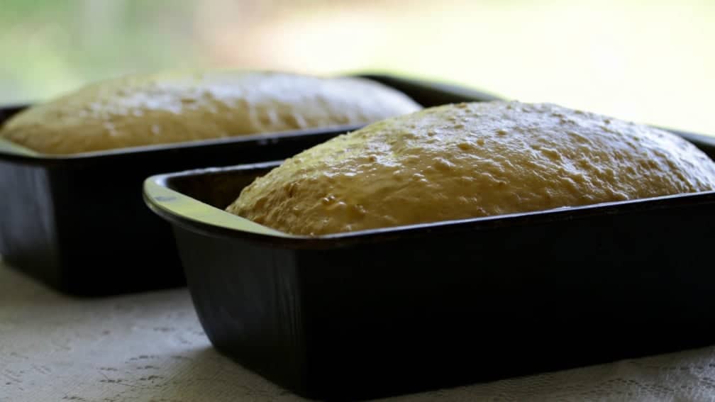 Irish Oat Bread-ready to bake