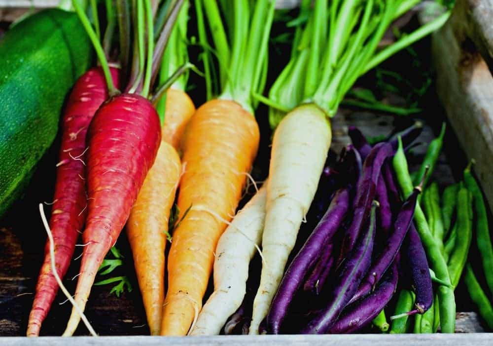 Taking Stock of the Garden