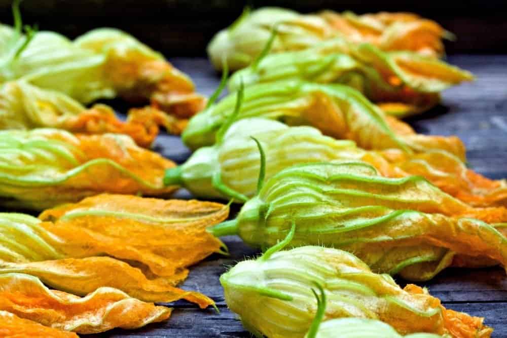 washed squash blossoms
