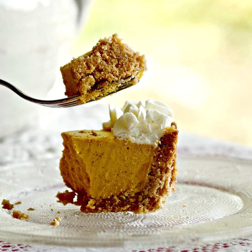 Sugar Free Pumpkin Pie