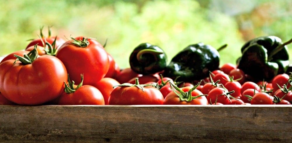 tomato and peppers from our 2017 garden