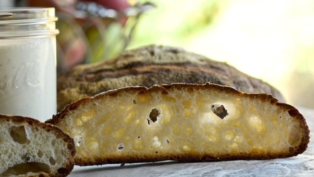 How to Make sourdough starter with Wild Yeast